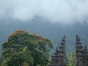 Bali gateway with flower tree in mountains and fog