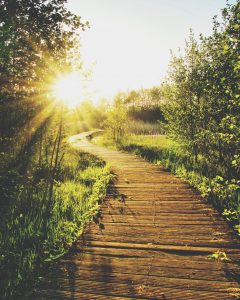 sunset boardwalk