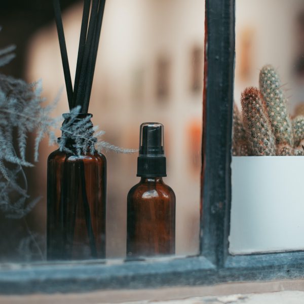 Window with plants and cleaning products behind the pane