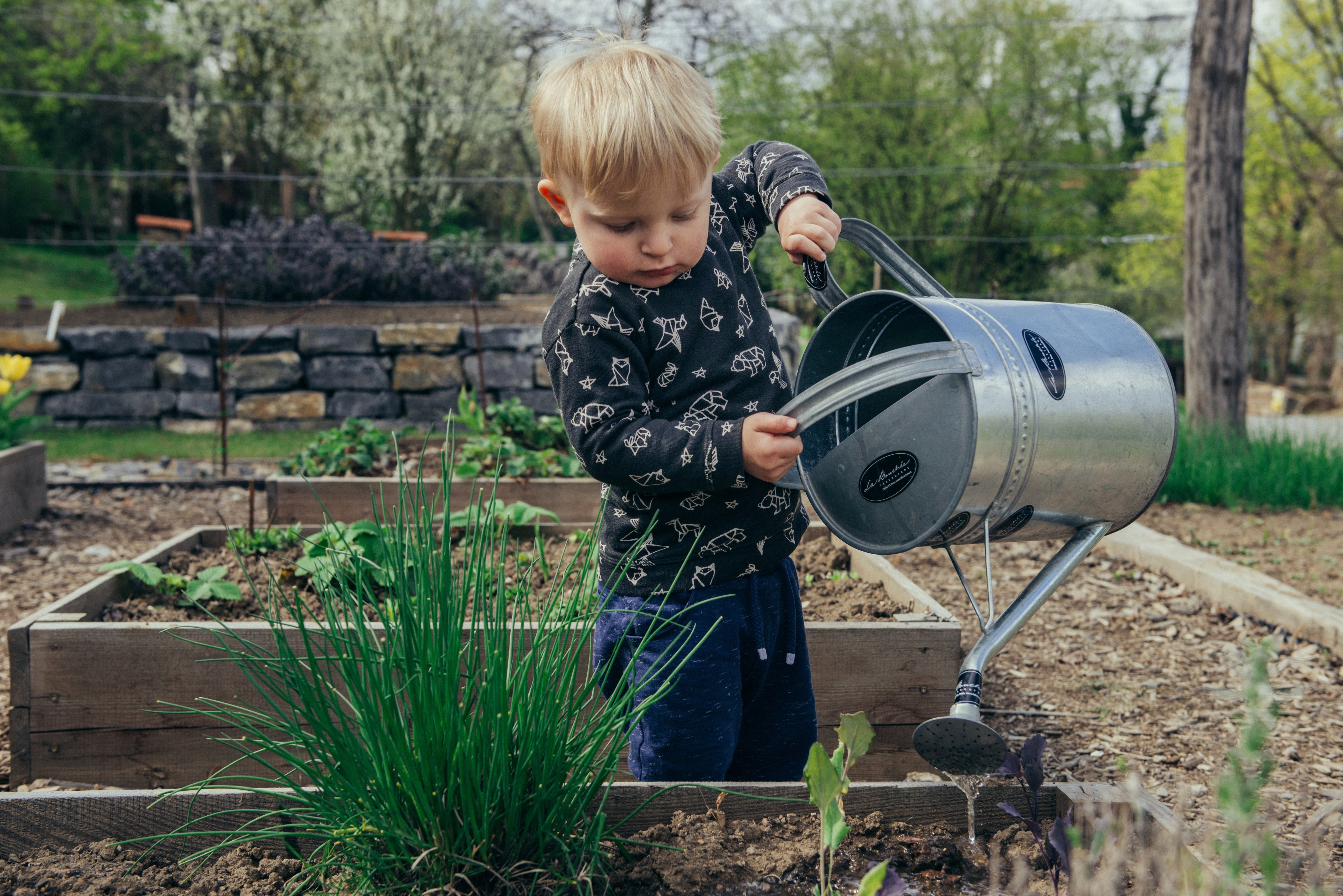 Young boy toddler in dark blue pyjamas lifting and pouring water out of a metal watering can into a boxed garden.