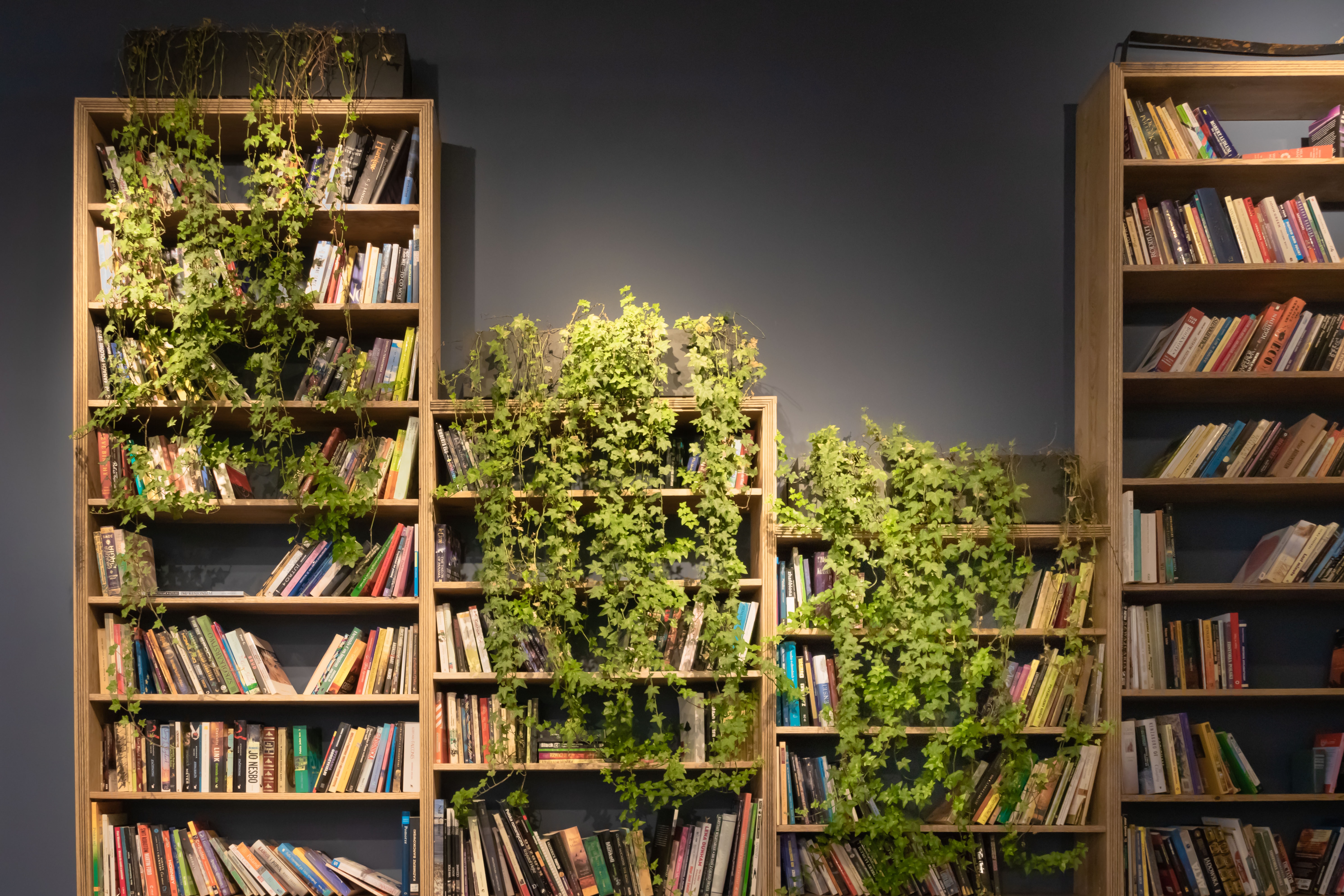 4 bookshelves of varying heights on a charcoal background. The bookshelves hold books and plants.